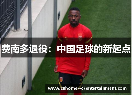 费南多退役：中国足球的新起点