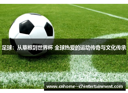 足球：从草根到世界杯 全球热爱的运动传奇与文化传承
