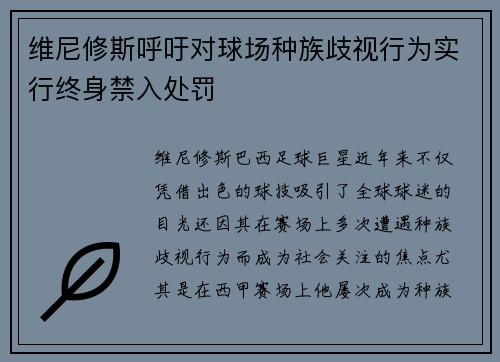 维尼修斯呼吁对球场种族歧视行为实行终身禁入处罚